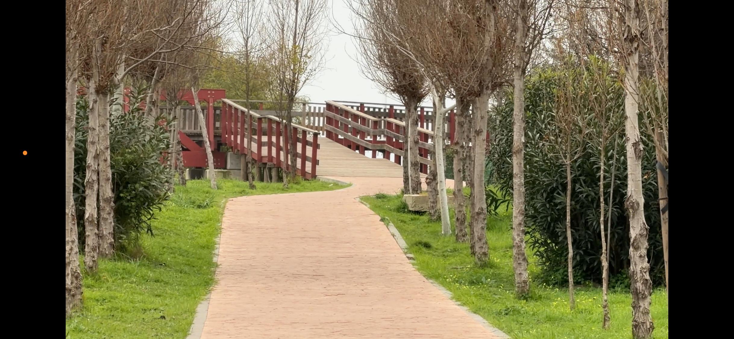 ¡Gran Oportunidad de Inversión en Villacana, Estepona!